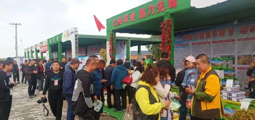 烏拉特前旗第三屆中國(guó)農(nóng)民豐收節(jié)慶祝活動(dòng)食品銷售盛況