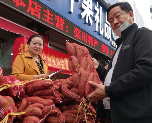 民建洛陽市委西工總支與洛陽中小企業(yè)家協(xié)會(huì)攜手開展愛心助農(nóng)活動(dòng)，助力農(nóng)副產(chǎn)品銷售