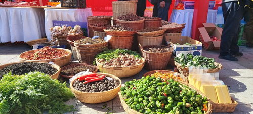 國家扶貧日 愛在營口，食品銷售助力美好生活