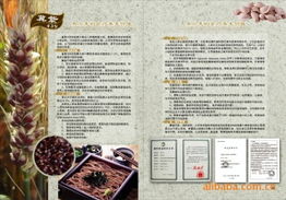 北京高天厚土農(nóng)副產(chǎn)品公司官網(wǎng) - 綠色農(nóng)副產(chǎn)品銷售專家